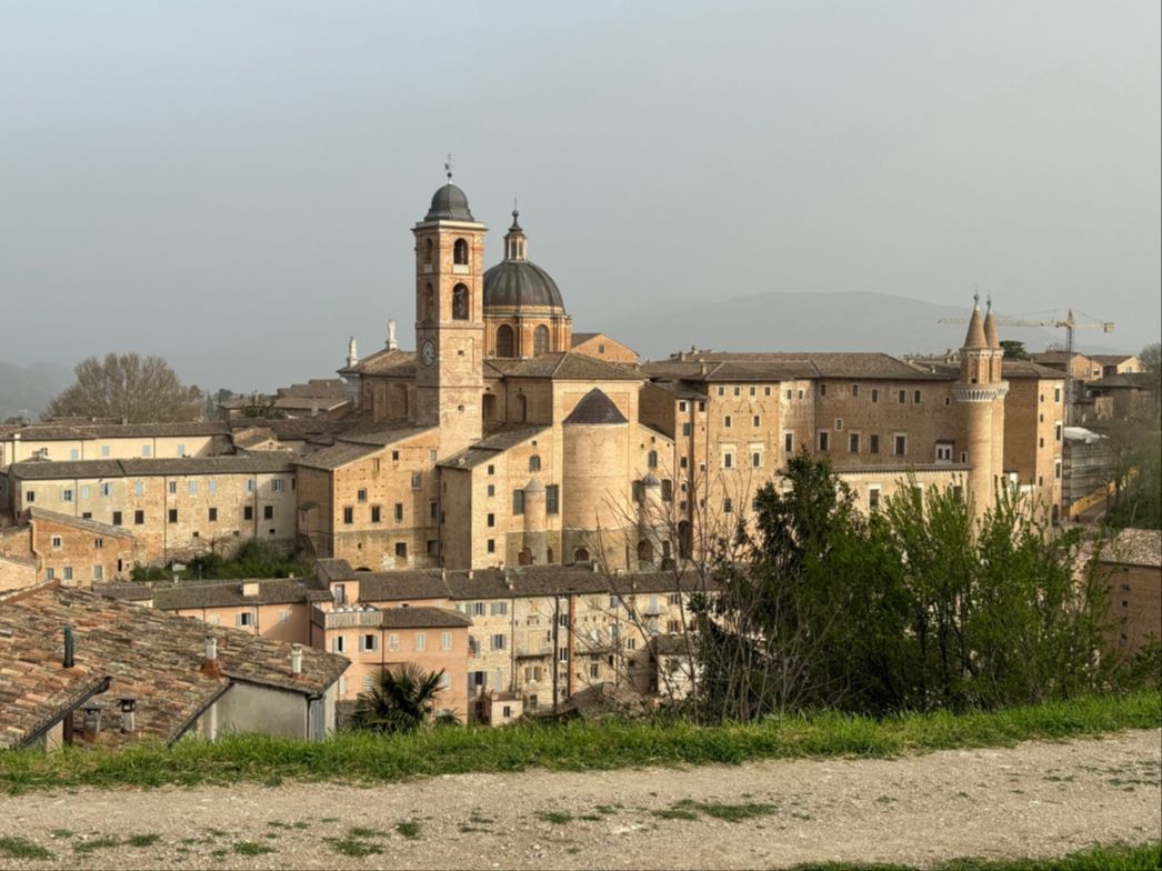 common.coverImageAlt