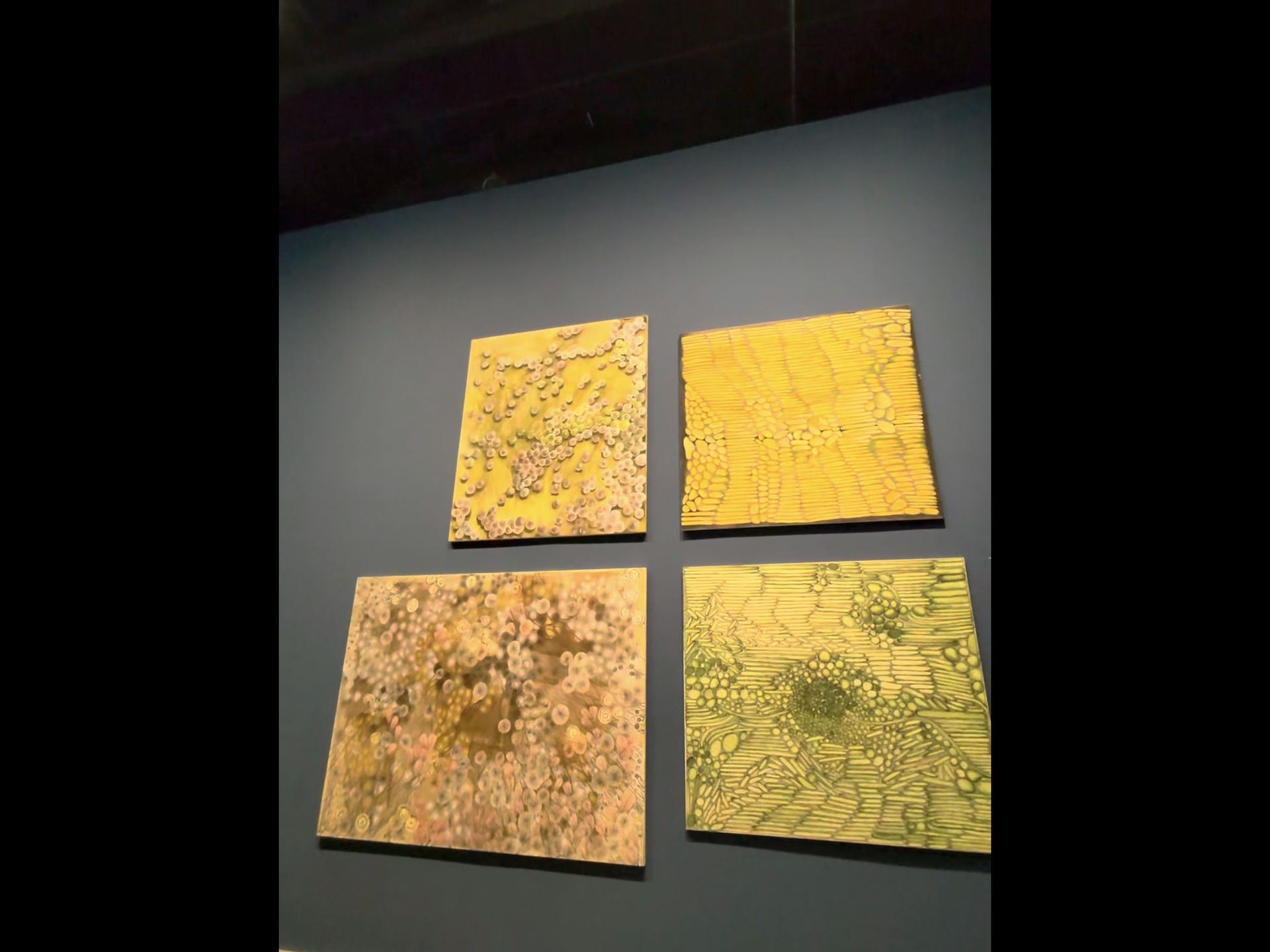 common.galleryImageAlt