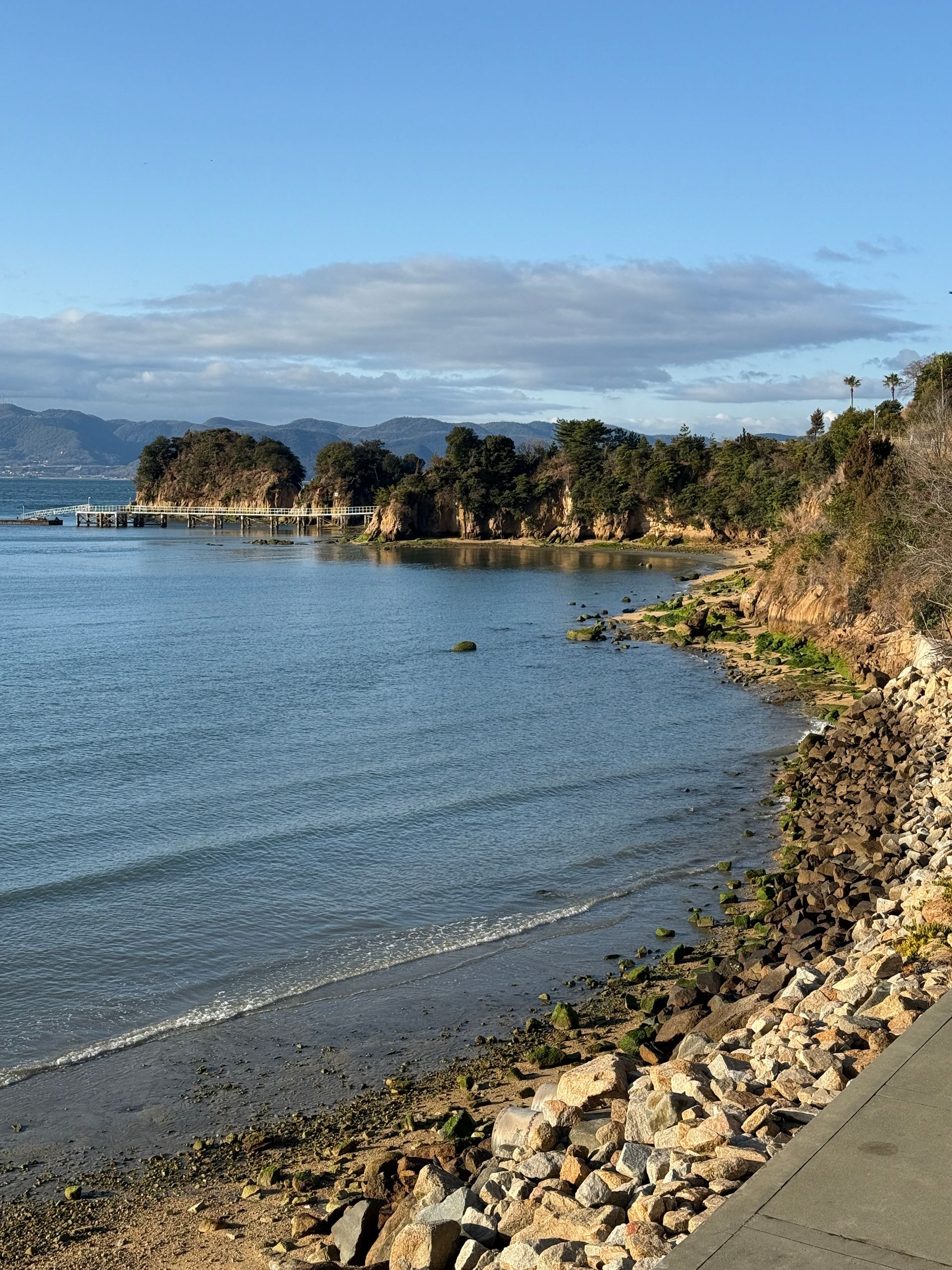 common.galleryImageAlt