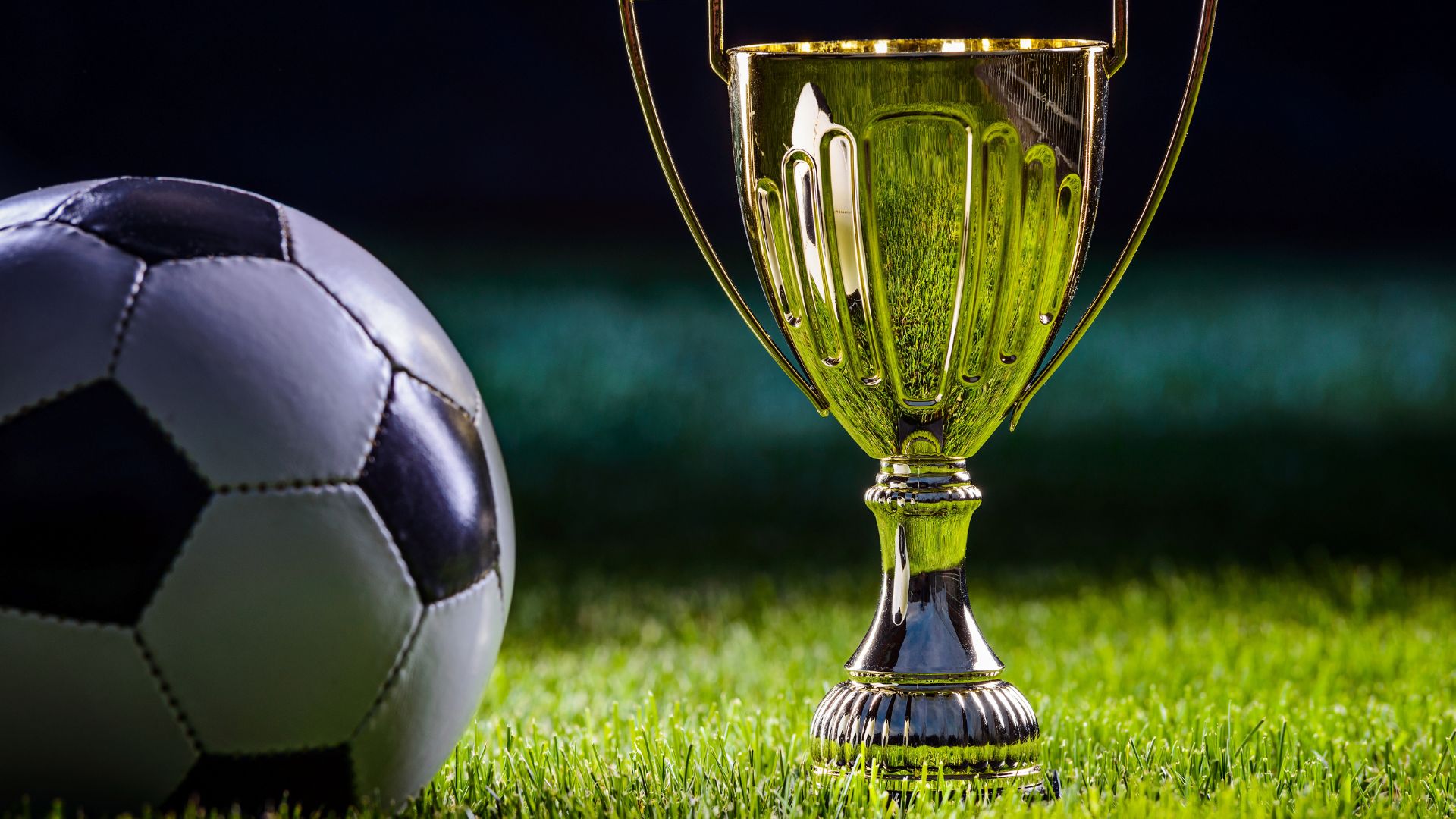 common.coverImageAlt