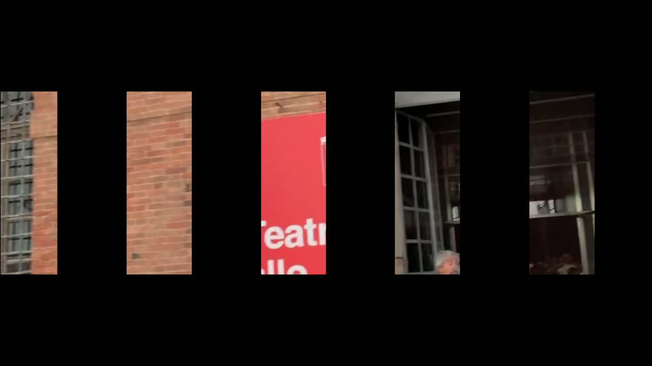 common.videoAlt