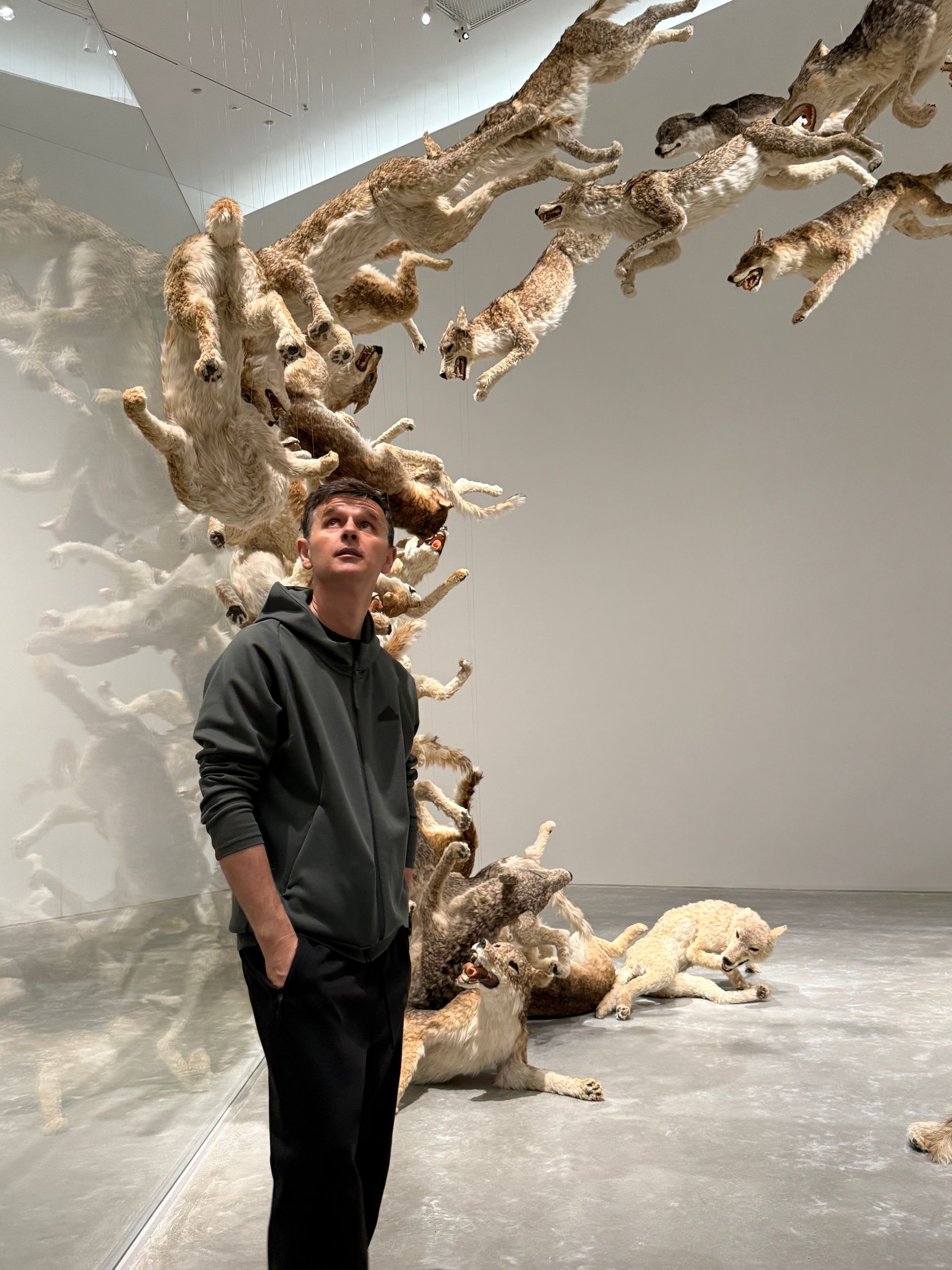 common.coverImageAlt